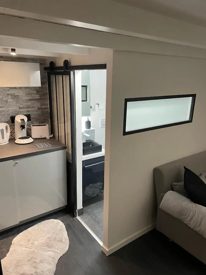 Studio rénové, terrasse privative, 300m du Capitole Toulouse Appartement