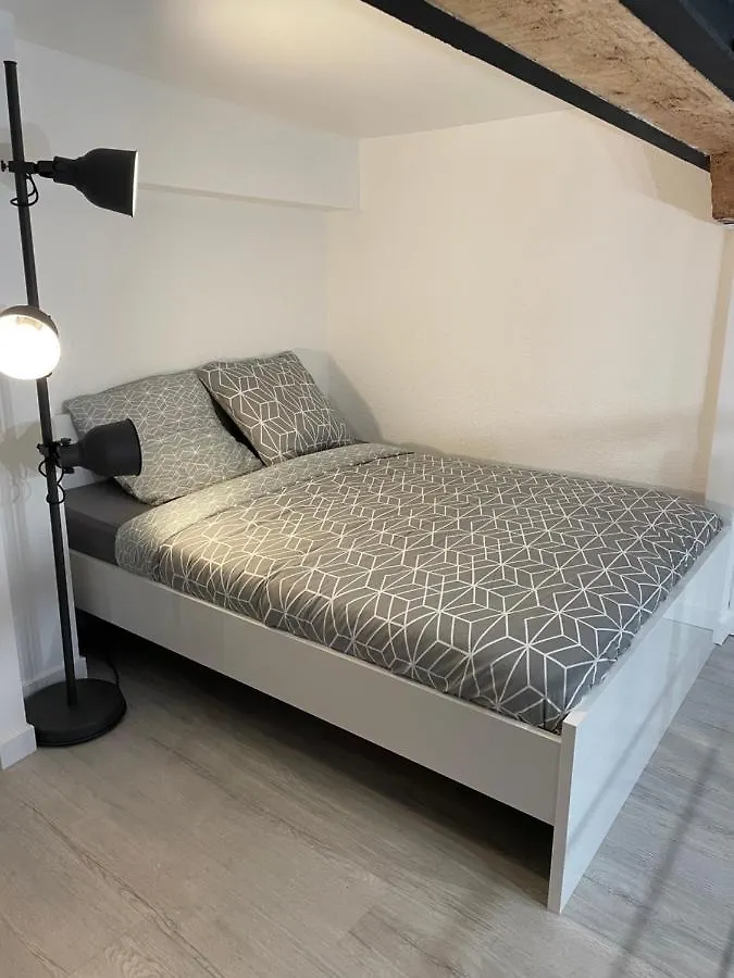 Studio rénové, terrasse privative, 300m du Capitole Toulouse