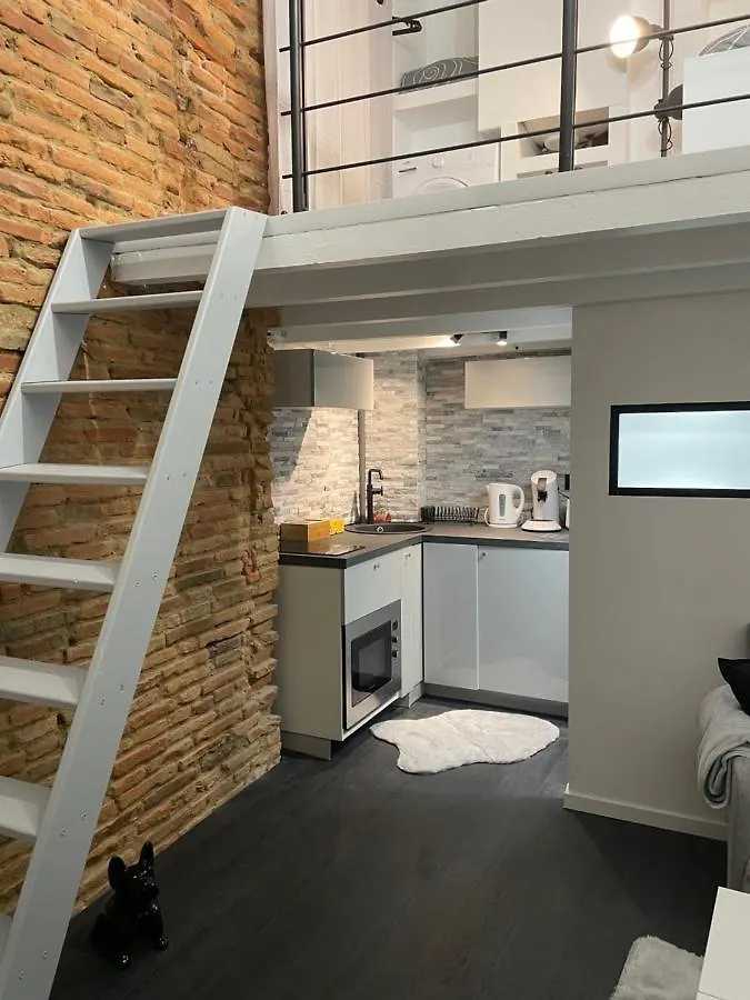 Studio rénové, terrasse privative, 300m du Capitole Toulouse