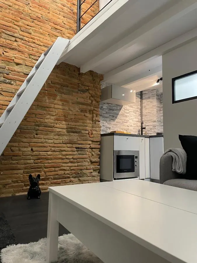 Apartamento Studio rénové, terrasse privative, 300m du Capitole Toulouse
