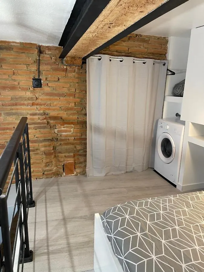 Apartamento Studio rénové, terrasse privative, 300m du Capitole Toulouse